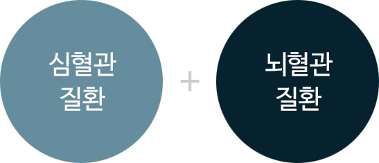 심혈관질환 + 뇌혈관질환